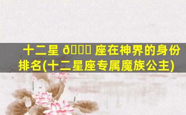 十二星 🐈 座在神界的身份排名(十二星座专属魔族公主)